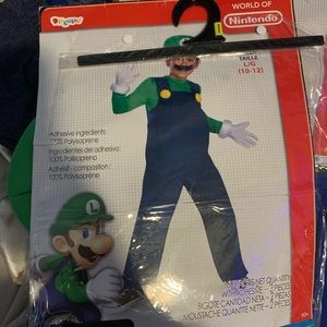 Lightly used Super Mario Luigi costume